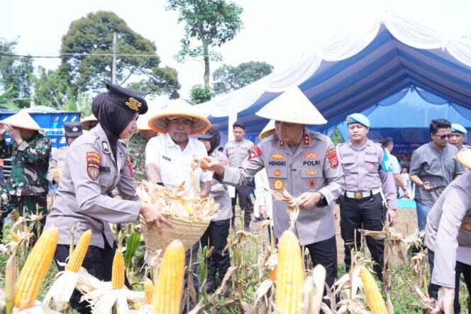 
Dukung Ketahanan Pangan, Polda Banten Panen 29,5 Ton Jagung