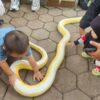 Komunitas Reptil Bandung Ajak Masyarakat Hilangkan Stigma, Edukasi Penting untuk Jaga Ekosistem